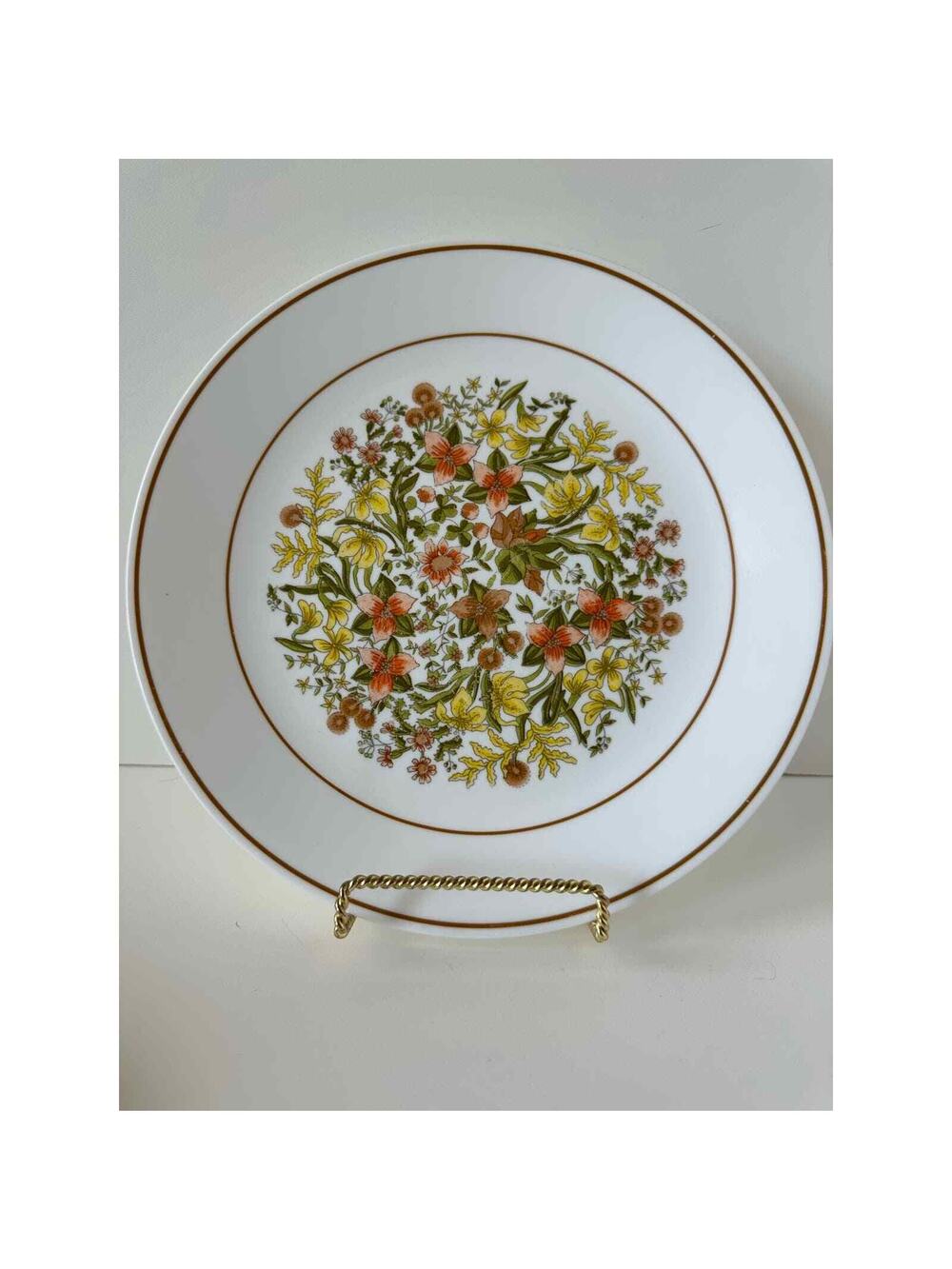 Vintage Corelle Indian Summer Dinner plate, 10.25 inch diameter, One Plate